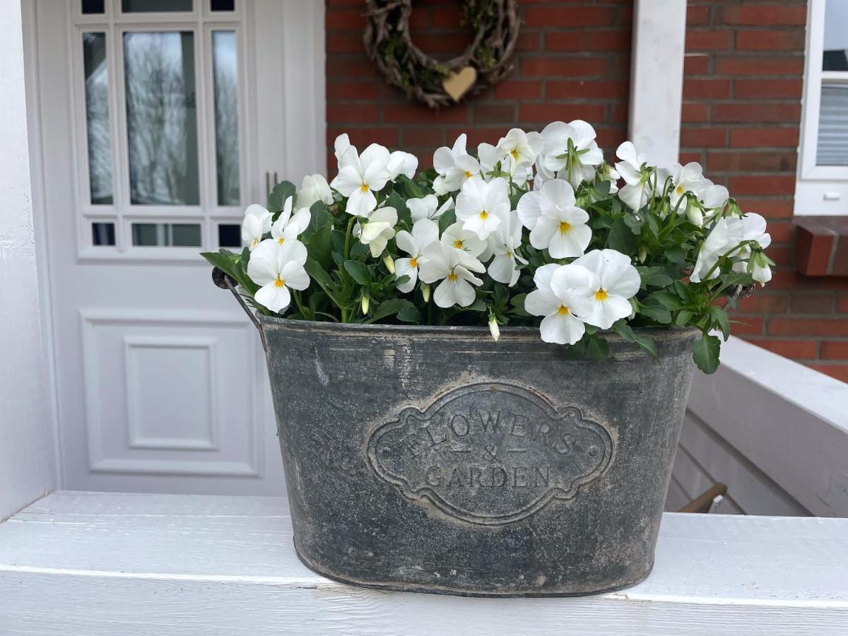 Friesen-Lodge Ferienwohnungen Breklum 외부 사진